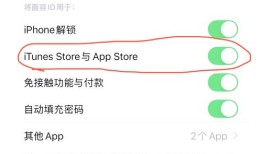 imToken苹果设备下载安全指南：3大注意事项，防范资产风险